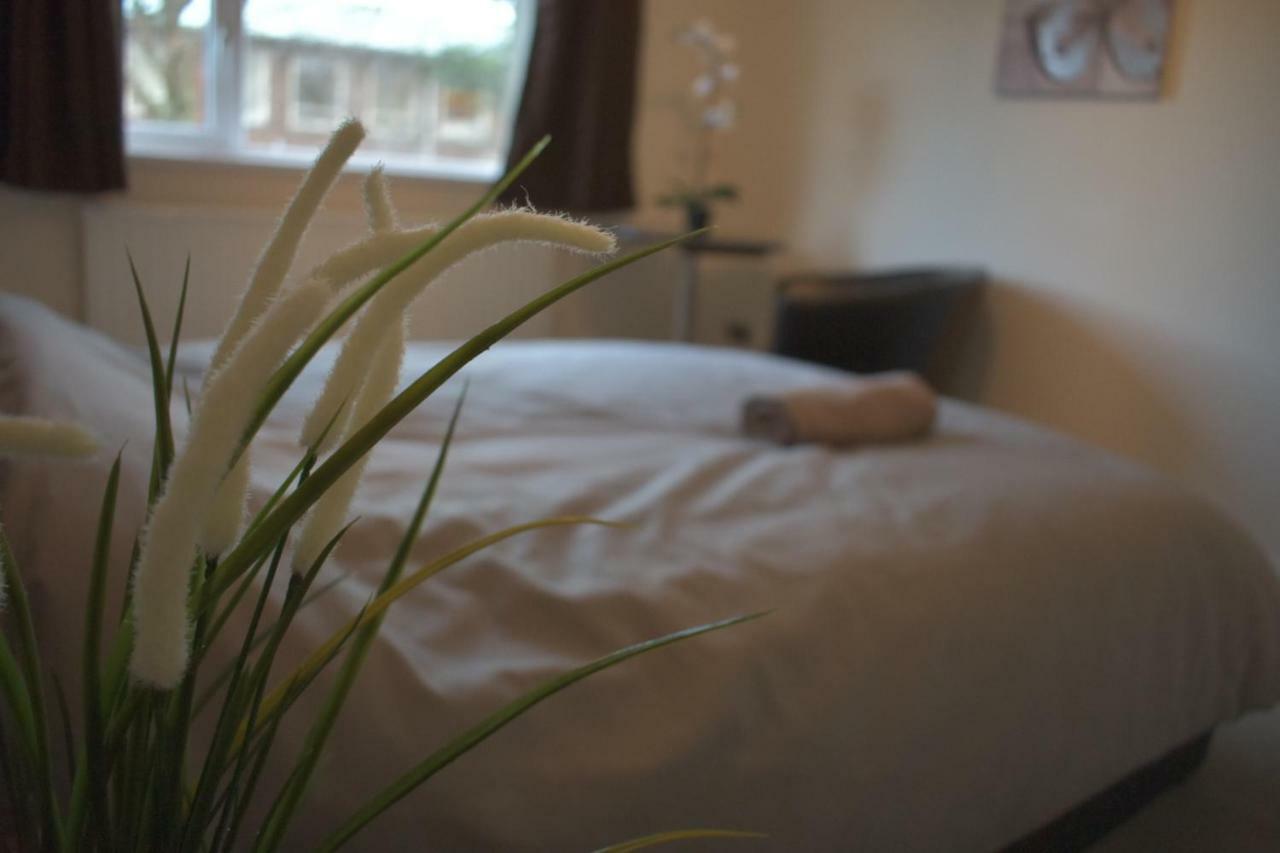 Home And A Stay بريستول المظهر الخارجي الصورة
