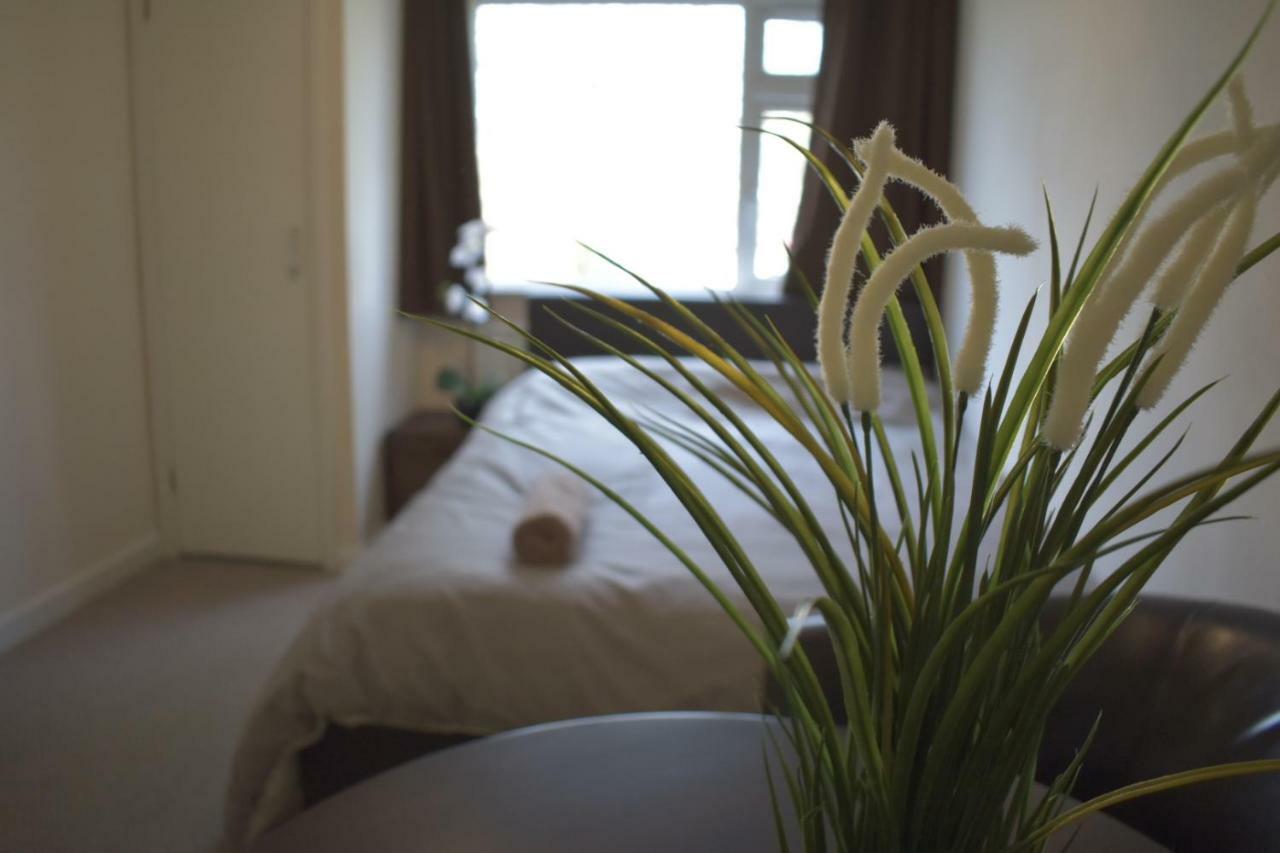 Home And A Stay بريستول المظهر الخارجي الصورة